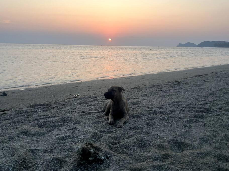 Sunset Serenity Cove Ko Pha Ngan Ngoại thất bức ảnh