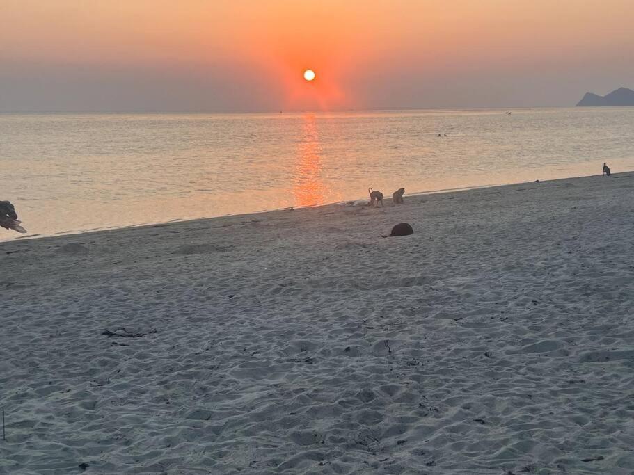 Sunset Serenity Cove Ko Pha Ngan Ngoại thất bức ảnh